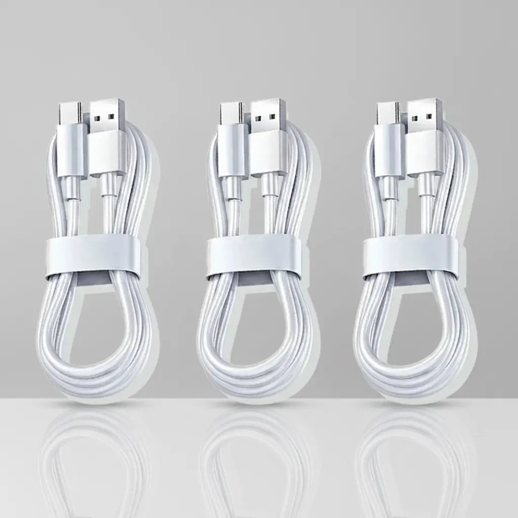 Modèle Daily – Câble USB-C Charge Stable Quotidienne SMARTS ACCESS