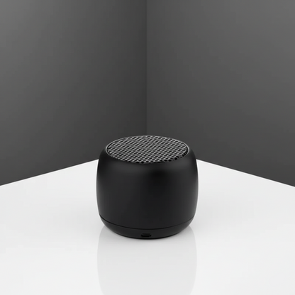 Modèle Bass – Enceinte Bluetooth Portable Autonomie Longue Durée SMARTS ACCESS