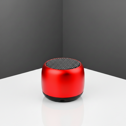 Modèle Bass – Enceinte Bluetooth Portable Autonomie Longue Durée SMARTS ACCESS